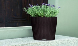 蘇州創(chuàng)景園藝有限公司