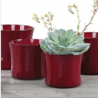 德國進口高檔陶瓷花盆雪瑞奇770系列花盆