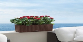 德國進口高檔蕾秀花盆仿藤長方壁掛型