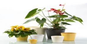 德國(guó)進(jìn)口高檔陶制套盆SK達(dá)拉斯啞光