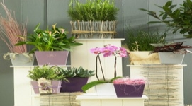 虹越德國(guó)進(jìn)口高檔陶制套盆SK厄瓜多爾系列花盆