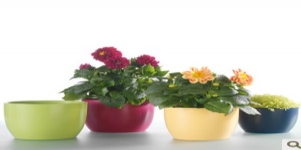 德國(guó)進(jìn)口高檔陶制套盆SK巴塞爾啞光14/13花盆