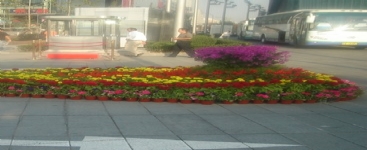 節日花壇